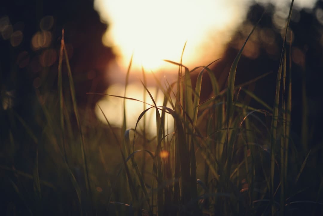 https://picture01.52hrttpic.com/image/infoImage/202501/24/g396d2f5c09104af495b34f68545dde5c.png?800x533